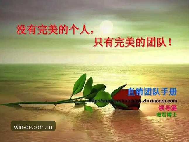 德赢体育中国使用指南 德赢体育中国使用指南:从下载到实战的完整操作手册